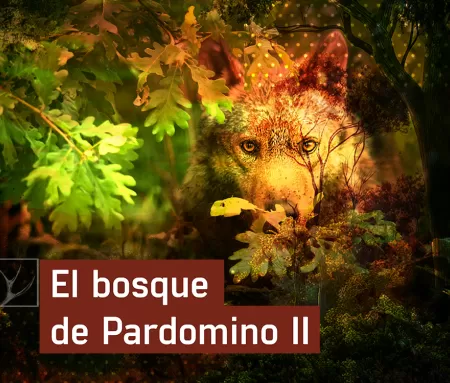 El bosque de Pardomino en Caza y pesca | Movistar Plus+