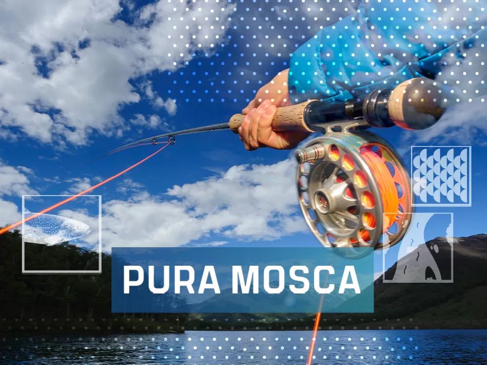 Pura mosca, en Caza y Pesca | Movistar Plus+