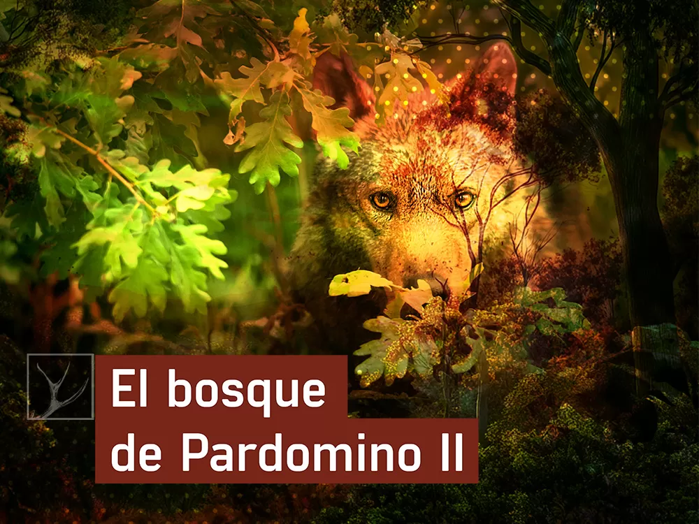 El bosque de Pardomino en Caza y pesca | Movistar Plus+