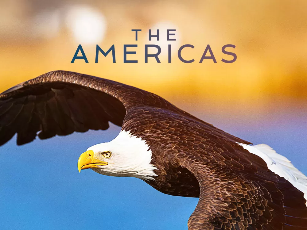 The Americas, en Movistar Plus+