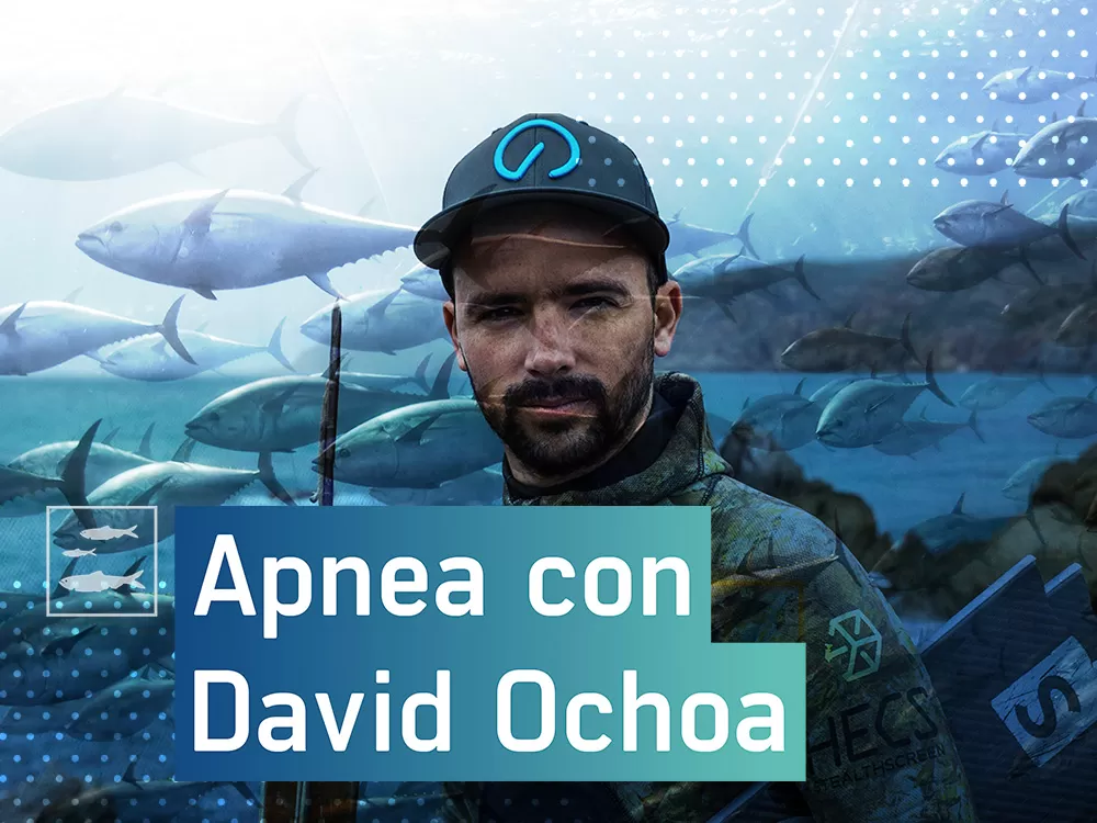 Apnea, con David Ochoa en Caza pesca | Movistar Plus+