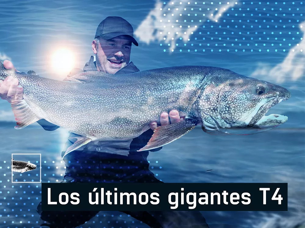 Los últimos gigantes, en Caza y Pesca | Movistar Plus