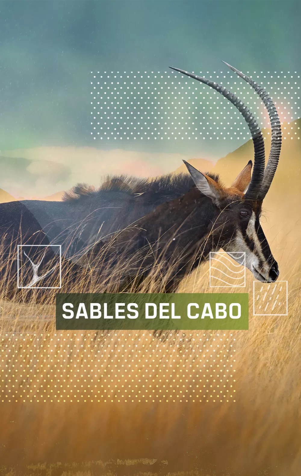 Sables del Cabo, en Caza y Pesca | Movistar Plus+