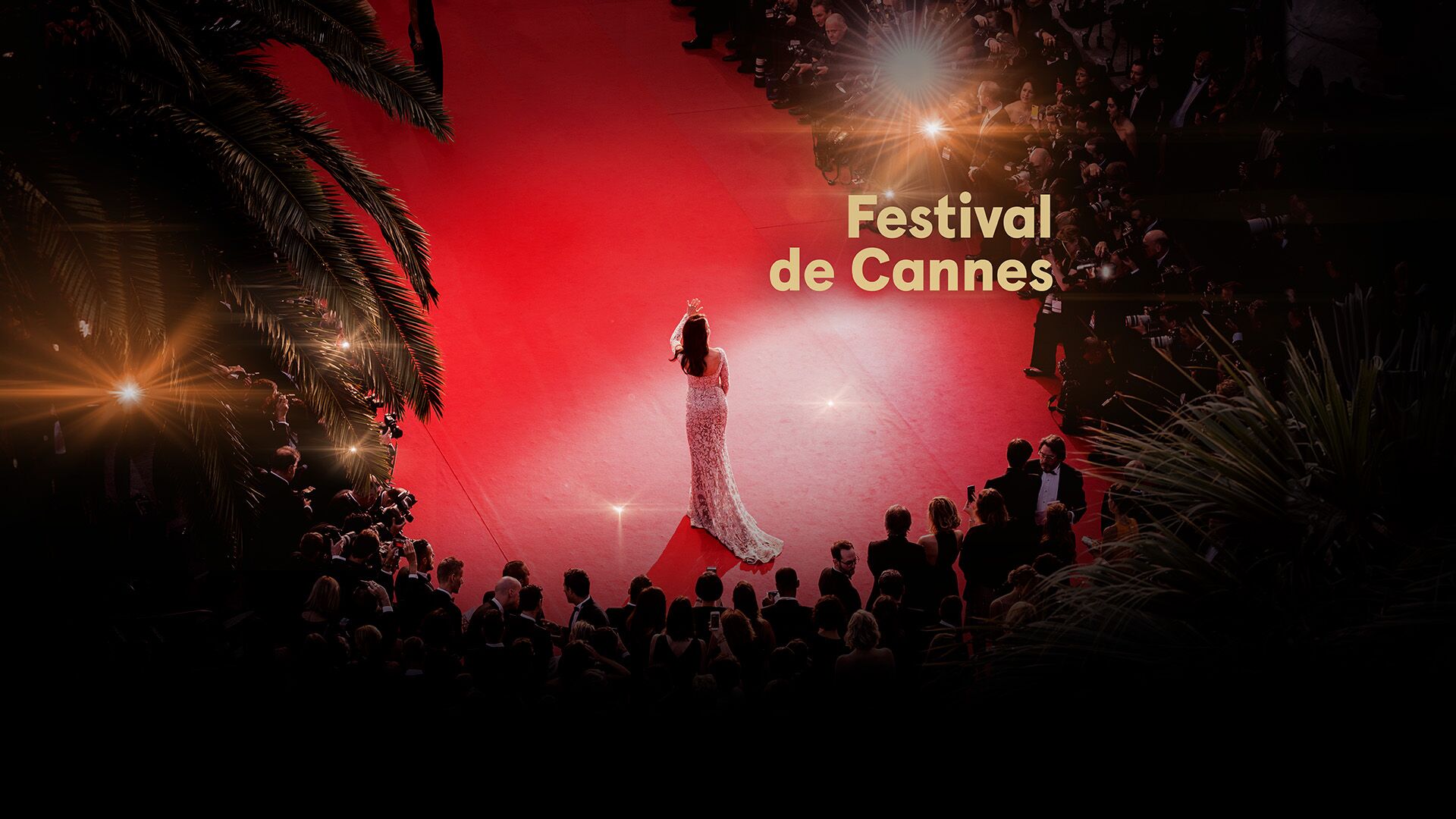 El Festival de Cannes en Movistar Plus+