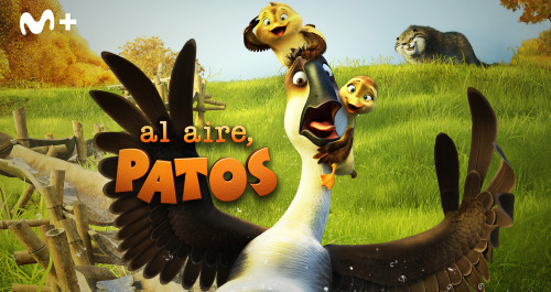 Al aire, patos