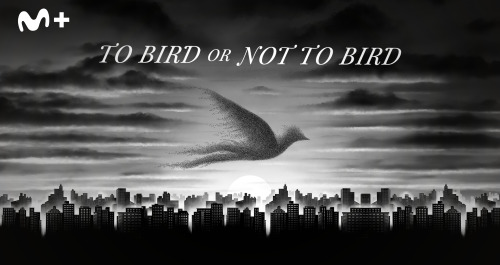 To Bird or Not To Bird