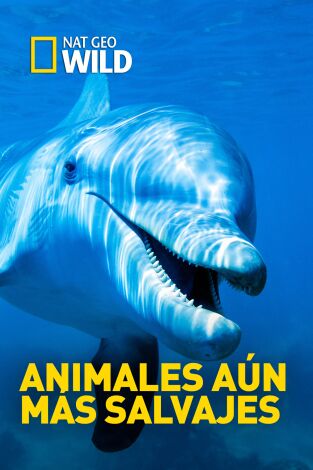 Animales aún más salvajes