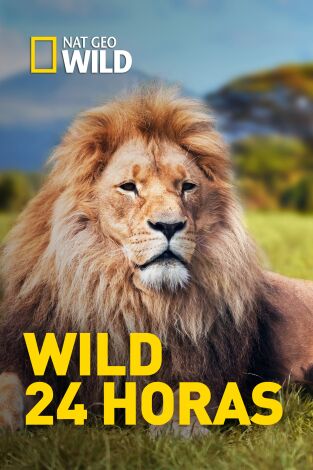 Wild 24 horas. Wild 24 horas: La sabana africana