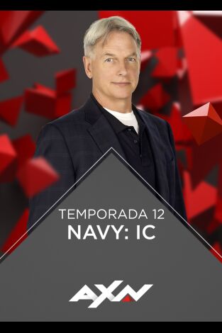 Navy: Investigación criminal. T(T12). Navy: Investigación criminal (T12)