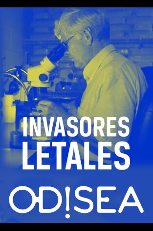 Invasores letales. Invasores letales: El pez león