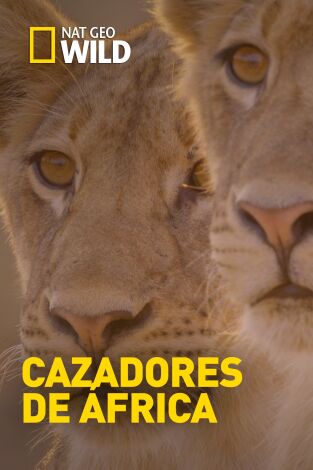 Cazadores de África. Cazadores de África 