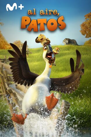 Al aire, patos