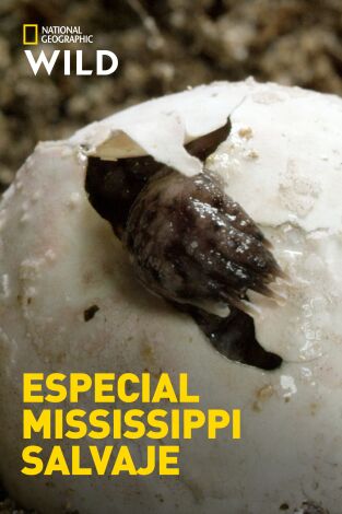 Especial Mississippi salvaje