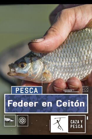 Feeder en Ceitón