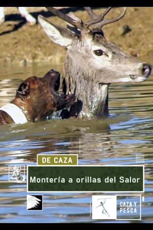 Montería a orillas del Salor