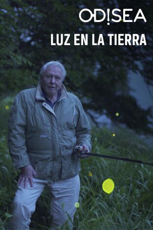 Luz en la Tierra