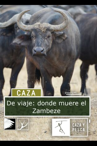 De viaje: donde muere el Zambeze