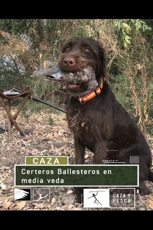 Certeros Ballesteros en la media veda