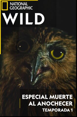 Especial muerte al anochecer. Especial muerte al...: El regreso de los muertos vivientes