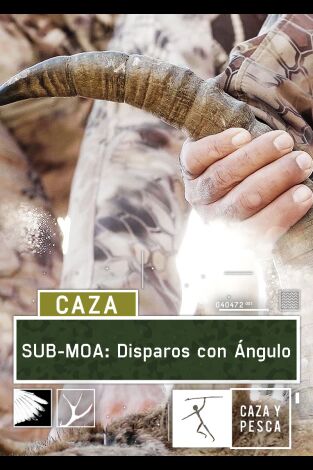 Sub Moa. T(T1). Sub Moa (T1): Disparos con ángulo