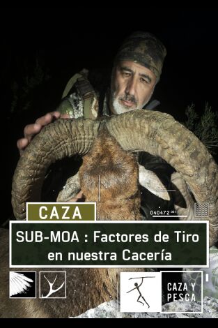 Sub Moa. T(T1). Sub Moa (T1): Factores de tiro en nuestra cacería