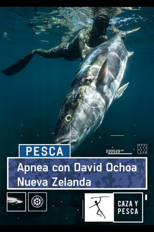 Apnea con David Ochoa. T(T1). Apnea con David... (T1): Nueva Zelanda