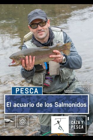 El acuario de salmónidos