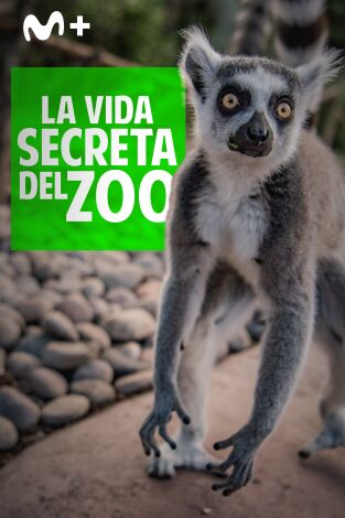 La vida secreta del Zoo