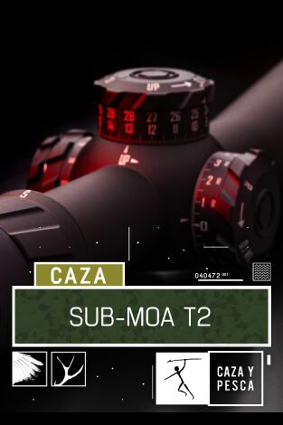 Sub Moa. T(T2). Sub Moa (T2): 300WM la colocación del tiro perfecto