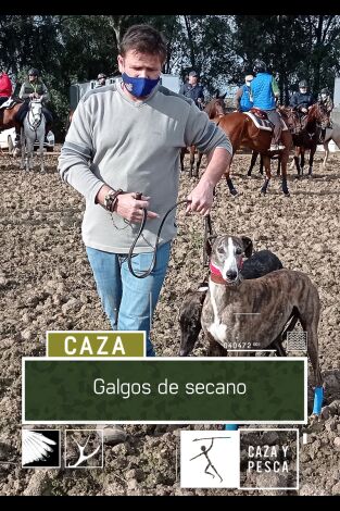 Galgos de secano