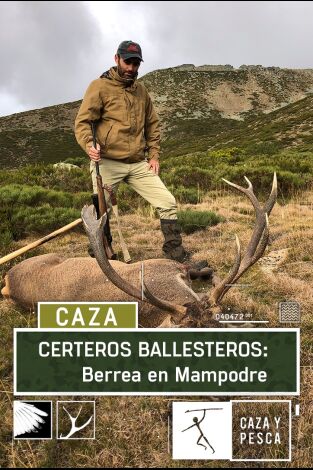 Certeros Ballesteros: Berrea en Mampodre