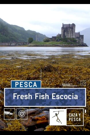 Fresh Fish, Escocia