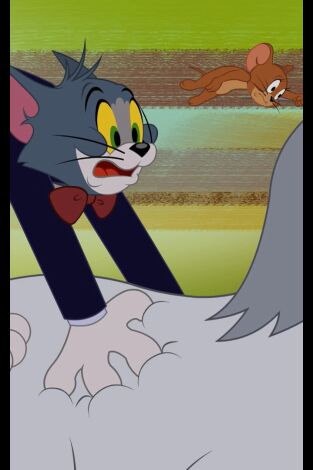 El show de Tom y Jerry. T(T3). El show de Tom y... (T3): Una Montura cascarrabias