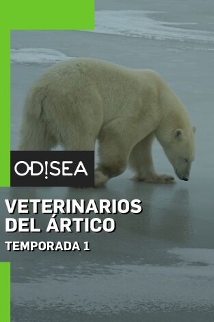 Veterinarios del Ártico