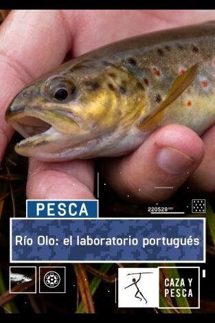 Río Olo: el laboratorio portugués