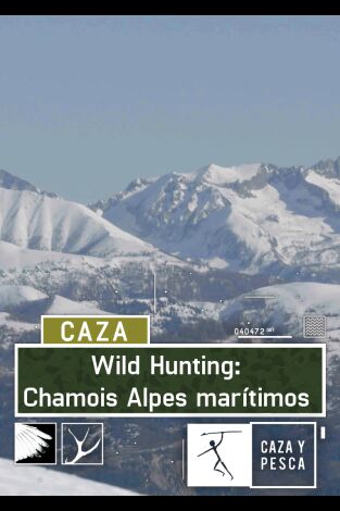 Wild hunting. T(T2). Wild hunting (T2): Chamois Alpes marítimos