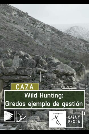 Wild hunting. T(T2). Wild hunting (T2): Gredos ejemplo de gestión