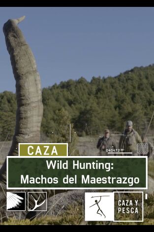 Wild hunting. T(T2). Wild hunting (T2): Machos del Maestrazgo