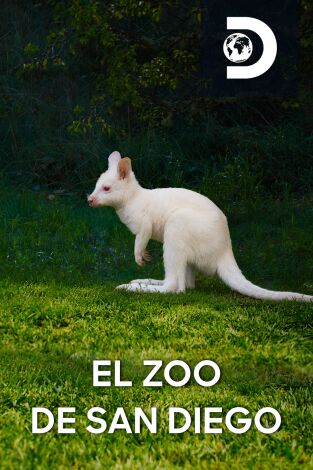 El zoo de San Diego. El zoo de San Diego: Mek vuelve a casa