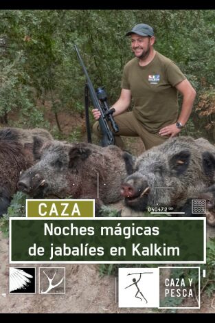 Noches mágicas de jabalies en Kalkim