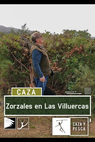 Zorzales en Las Villuercas