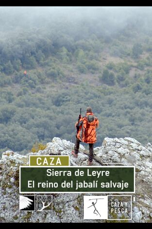 Sierra de Leyre. El reino del jabalí salvaje