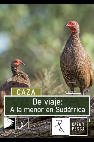 De viaje: a la menor en Sudáfrica