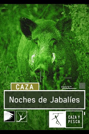 Noches de jabalies