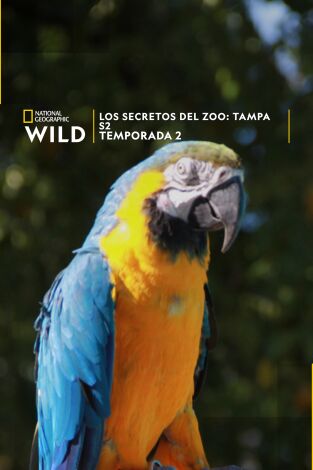 Los secretos del zoo: Tampa