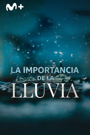 La importancia de la lluvia