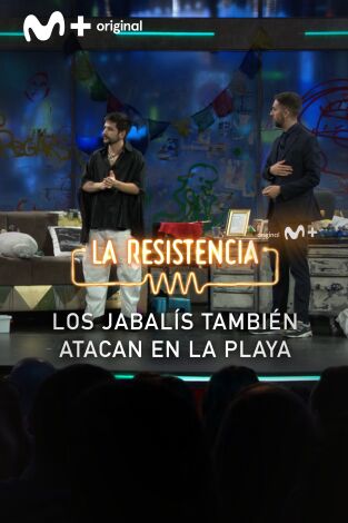 Lo + de las entrevistas de música. T(T5). Lo + de las... (T5): Jabalíes nadadores - 14.6.22