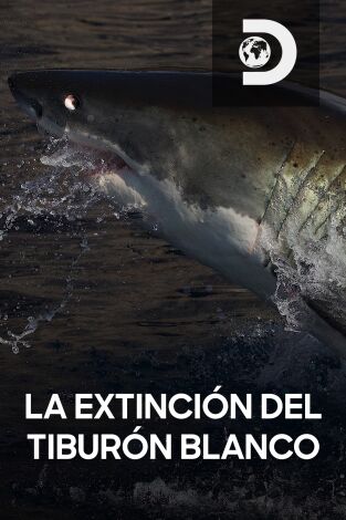 La extinción del tiburón blanco