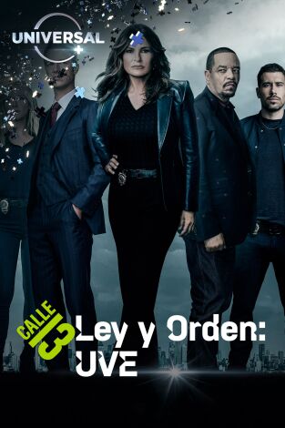 Ley y orden: unidad de víctimas especiales. T(T24). Ley y Orden:... (T24): Ep.14 Lágrimas holandesas