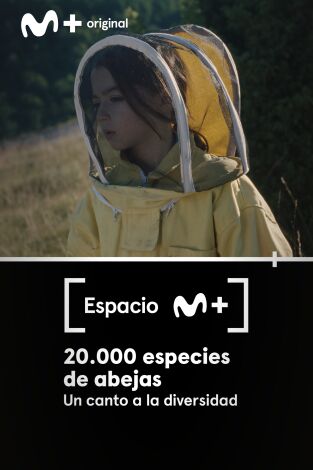 Espacio M+. T(T1). Espacio M+ (T1): 20.000 especies de abejas